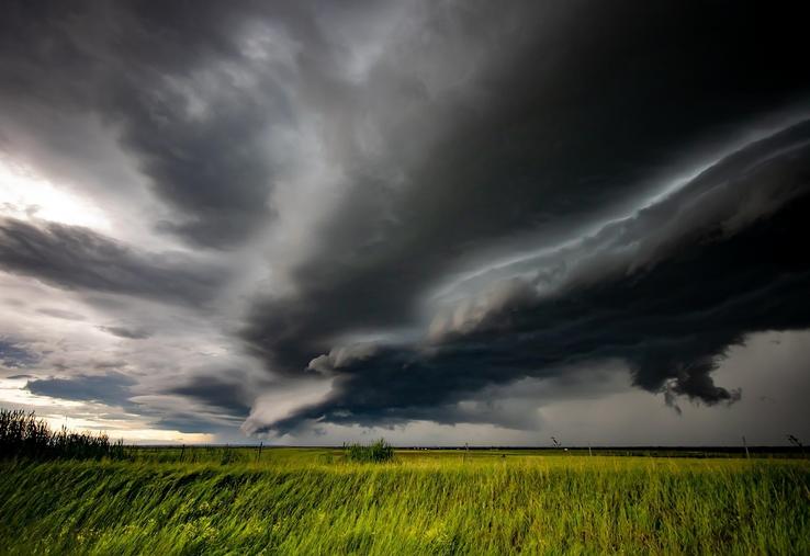 Après l'orage, une double peine pour les agriculteurs de l'Eure : les pertes de récoltes et l'urgence administrative.