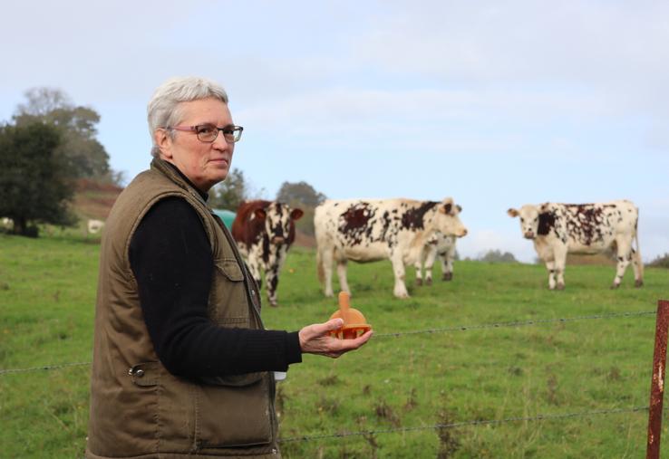Dans le champ voisin de l'atelier, paissent quelques vaches normandes appartenant à Marie Legrain. "Évidemment des Normandes", sourit-elle. Un clin d'œil à ses racines agricoles et à la passion qui l'anime toujours autant.