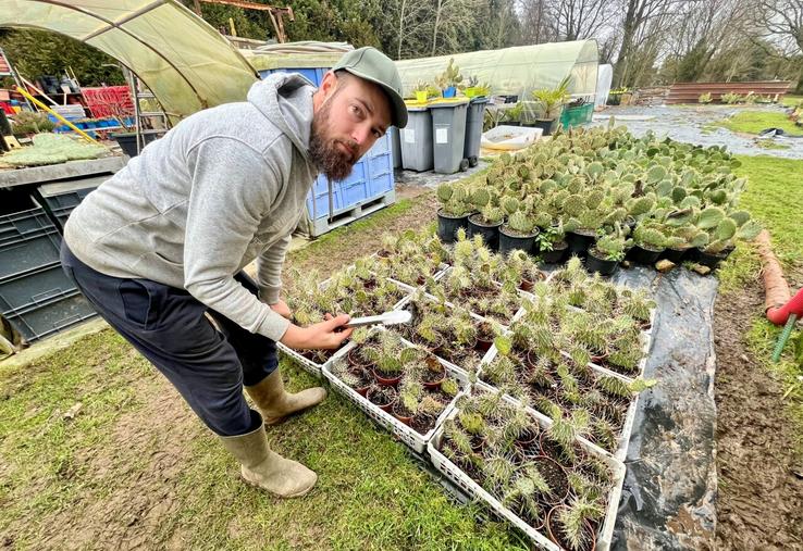 La tempête Goretti a endommagé près de 80 % du stock.